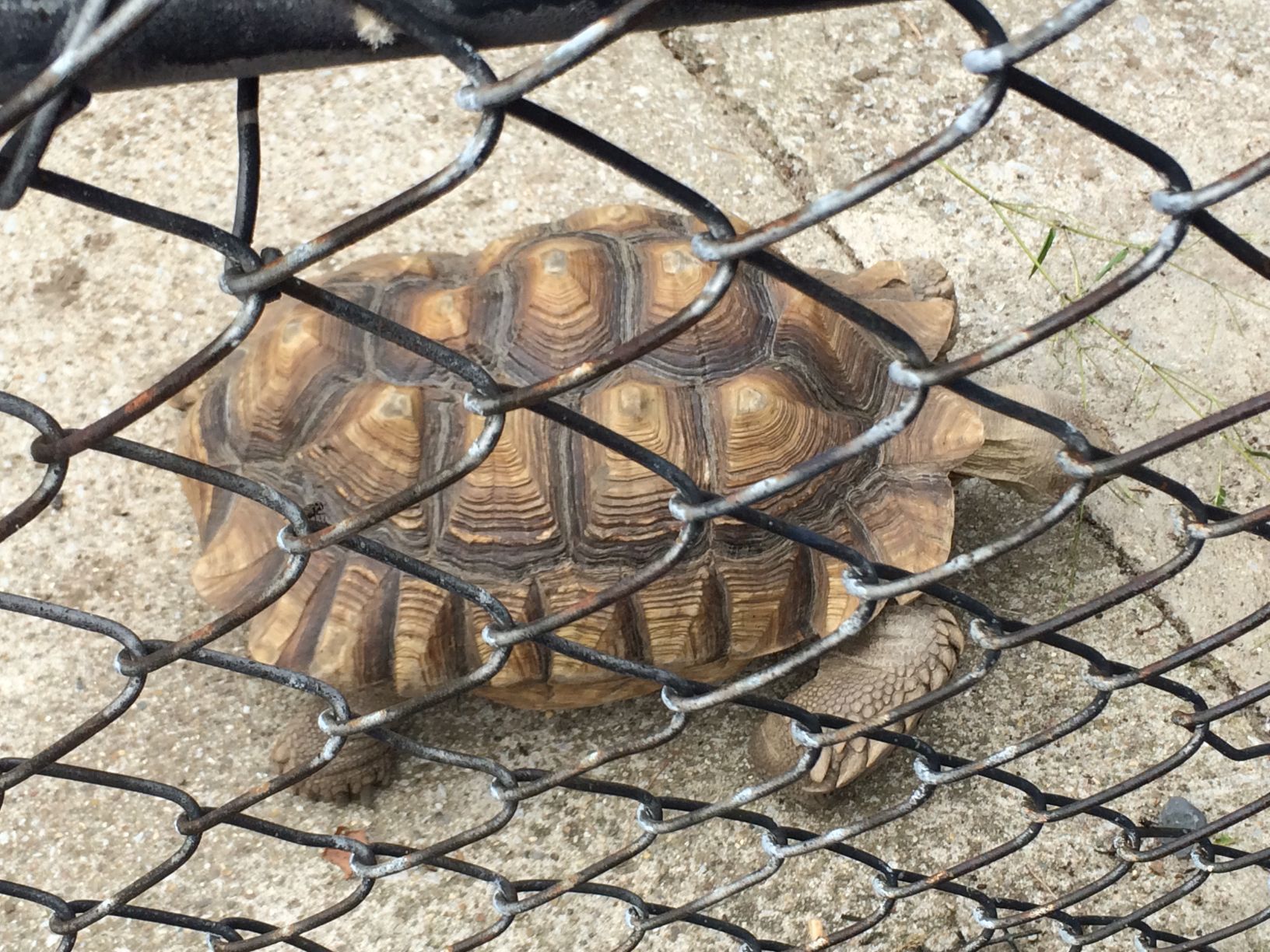 Washington Park Zoo